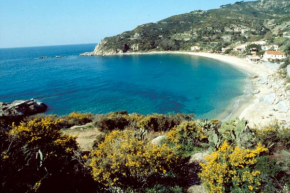Regina, Cavoli